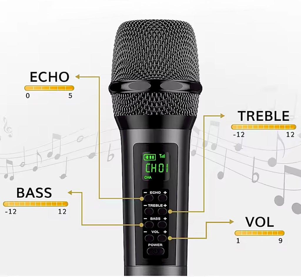 Heikuding Wireless Dynamic Mic System with Rechargeable Receiver